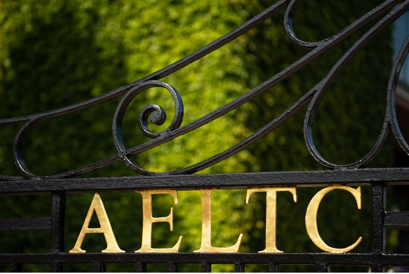 Close-up of an ornate black iron gate with large gold letters spelling AELTC in front of a background of lush green foliage.